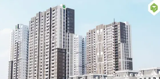 Tháo giàn giáo bao che mặt ngoài, tháng 02/2026
