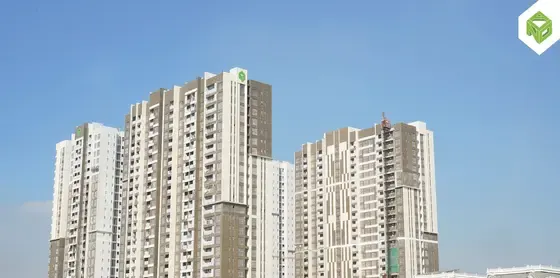 Tháo giàn giáo bao che mặt ngoài các tháp, tháng 03/2026